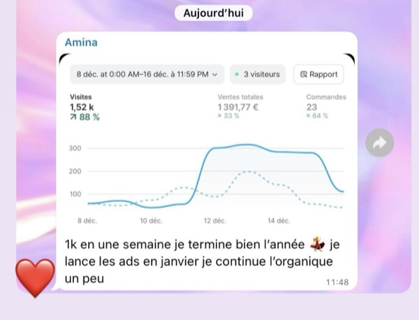 Amina — 1 391€ de ventes, 23 commandes, +88% de visites