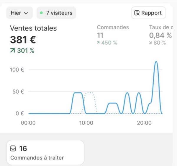 200€ de bénéfice par jour, 381€ de ventes, +301% de croissance